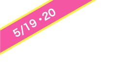 11/18・19